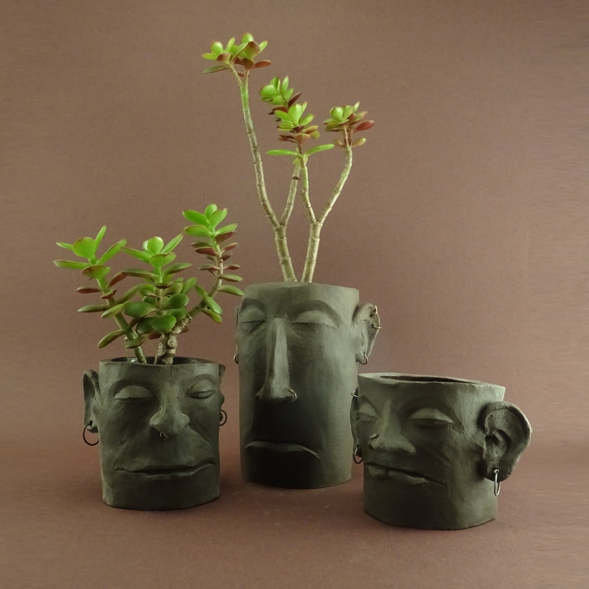 Pots têtes en grès noirs avec piercings, plantés de crassula ovata minor. Tous vendus