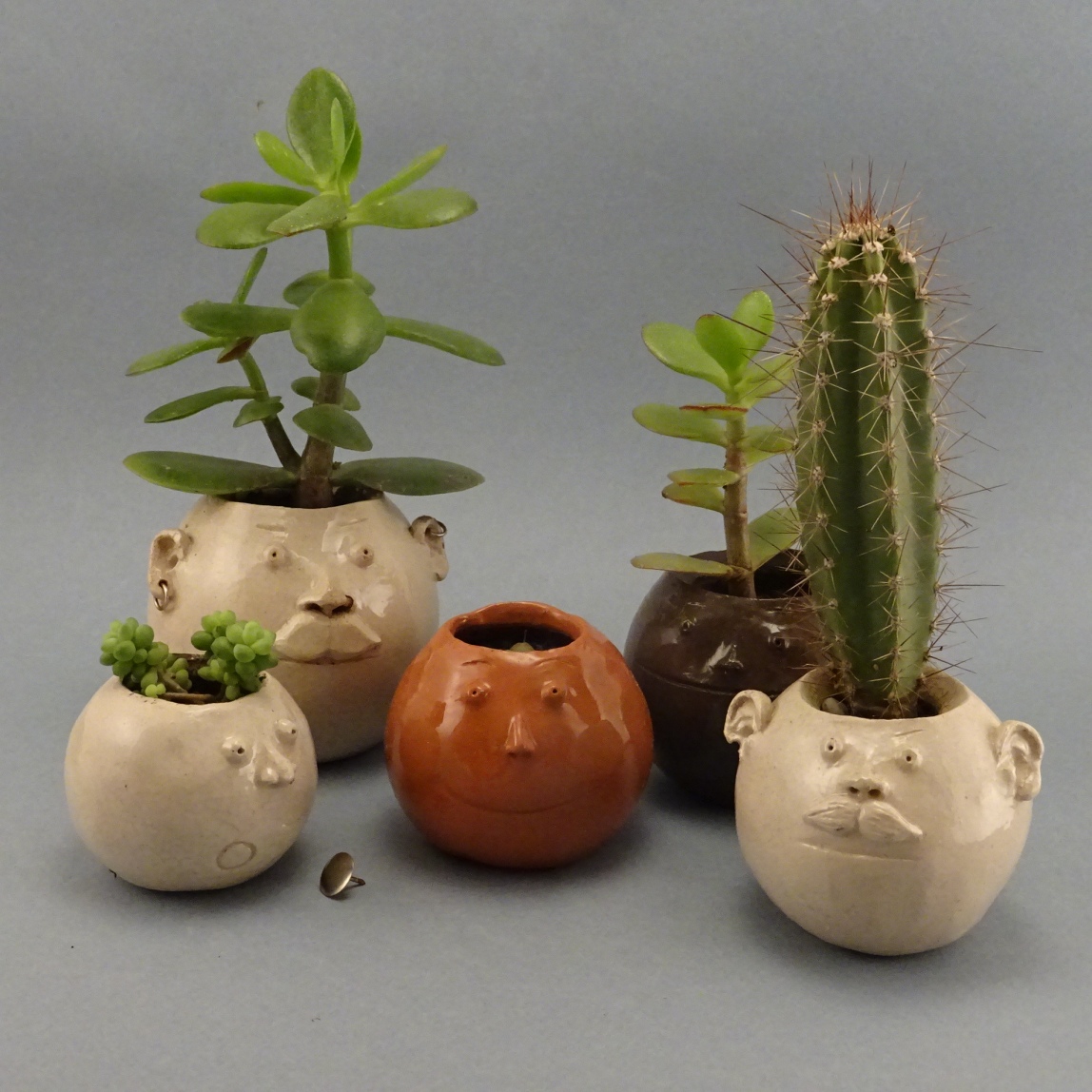 Petits pots têtes rondes, avec ou sans moustache, avec ou sans piercing, plantés de succulentes. Vendus, mais des pots similaires sont toujours disponibles.